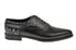 BestSelling Vitello Newspaper Print Oxford Shoes  Last Few Pieces!