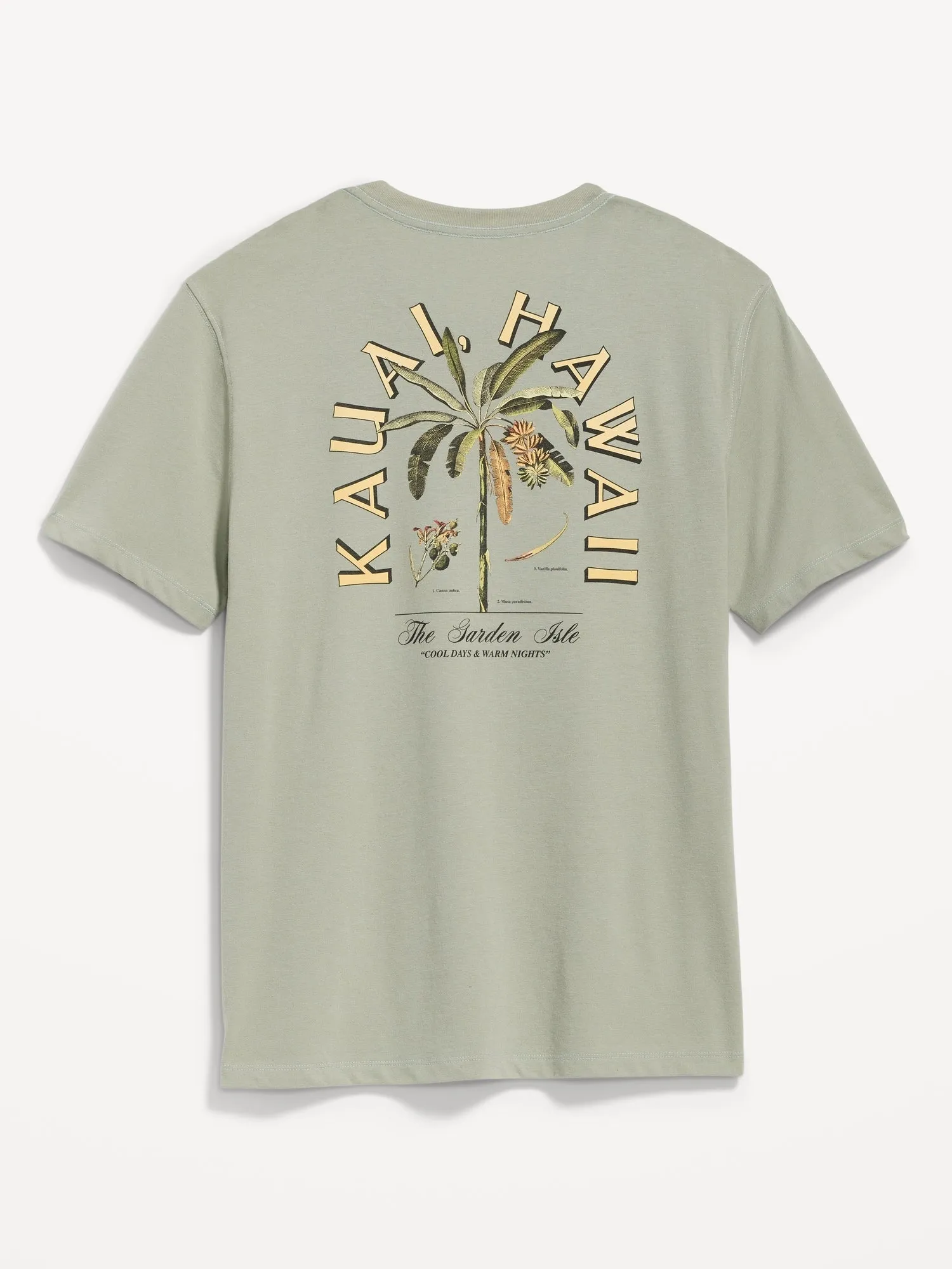 Soft-Washed Graphic T-Shirt for Men